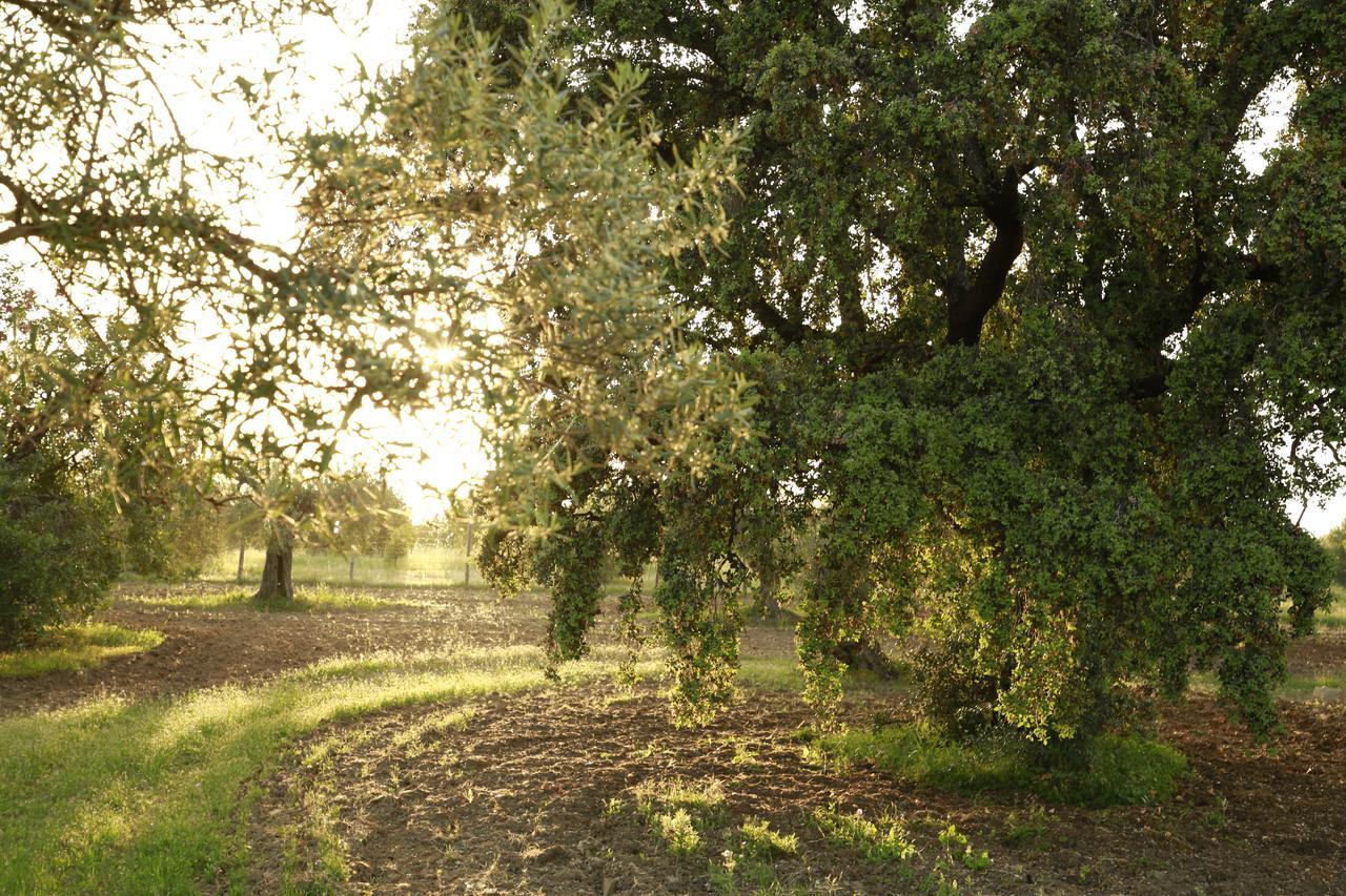 Fazenda Nova Country House Tavira Bagian luar foto